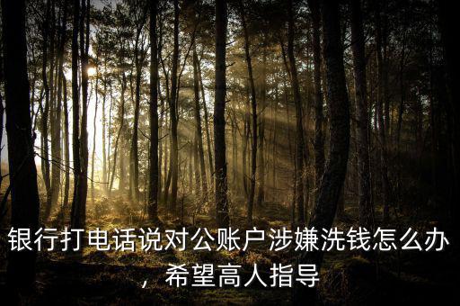 銀行打電話說對(duì)公賬戶涉嫌洗錢怎么辦，希望高人指導(dǎo)