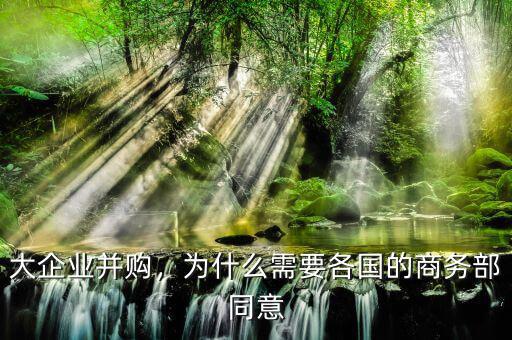 大企業(yè)并購，為什么需要各國(guó)的商務(wù)部同意