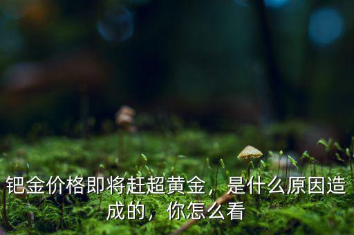 鈀金價(jià)格即將趕超黃金，是什么原因造成的，你怎么看