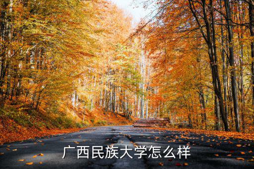 廣西民族大學(xué)怎么樣