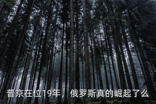 普京在位19年，俄羅斯真的崛起了么