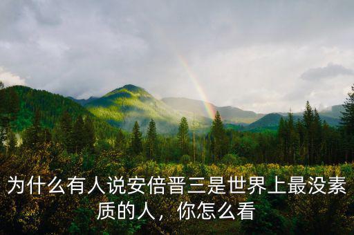 為什么有人說安倍晉三是世界上最沒素質(zhì)的人，你怎么看