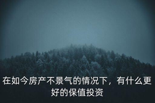在如今房產(chǎn)不景氣的情況下，有什么更好的保值投資