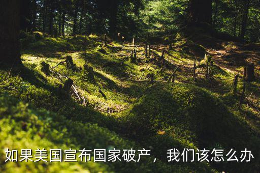 如果美國宣布國家破產(chǎn)，我們該怎么辦