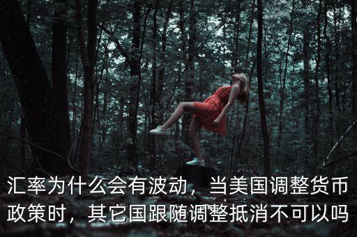 匯率為什么會有波動，當(dāng)美國調(diào)整貨幣政策時(shí)，其它國跟隨調(diào)整抵消不可以嗎