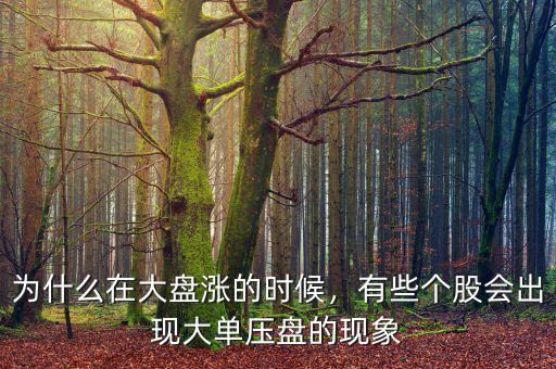為什么在大盤(pán)漲的時(shí)候，有些個(gè)股會(huì)出現(xiàn)大單壓盤(pán)的現(xiàn)象