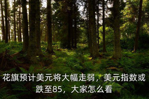 花旗預(yù)計(jì)美元將大幅走弱，美元指數(shù)或跌至85，大家怎么看