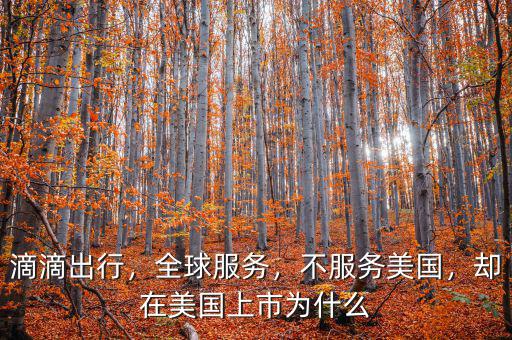 滴滴出行，全球服務(wù)，不服務(wù)美國，卻在美國上市為什么