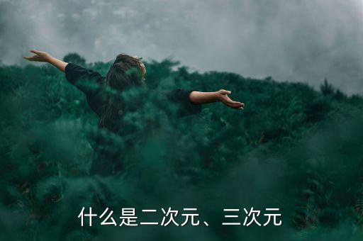 什么是二次元、三次元
