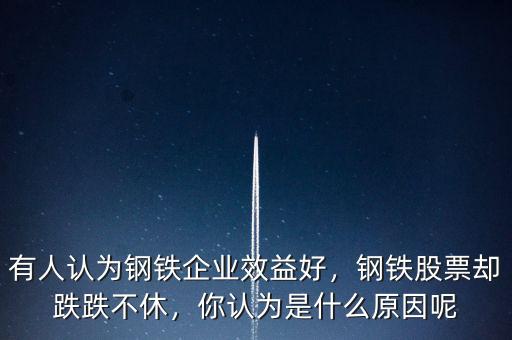 有人認為鋼鐵企業(yè)效益好，鋼鐵股票卻跌跌不休，你認為是什么原因呢