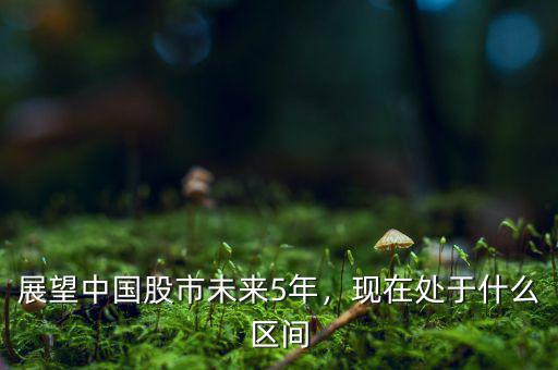 展望中國股市未來5年，現(xiàn)在處于什么區(qū)間