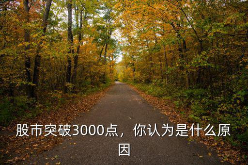 股市突破3000點(diǎn)，你認(rèn)為是什么原因