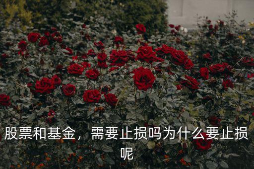 股票和基金，需要止損嗎為什么要止損呢
