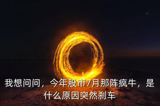 我想問問，今年股市7月那陣瘋牛，是什么原因突然剎車