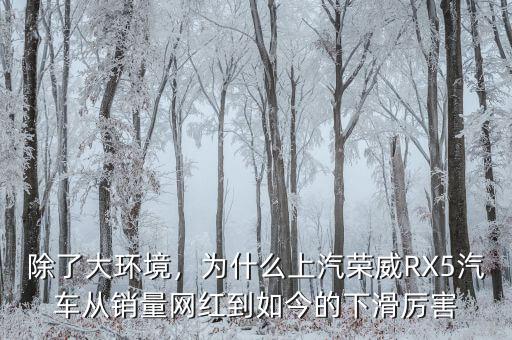除了大環(huán)境，為什么上汽榮威RX5汽車從銷量網(wǎng)紅到如今的下滑厲害