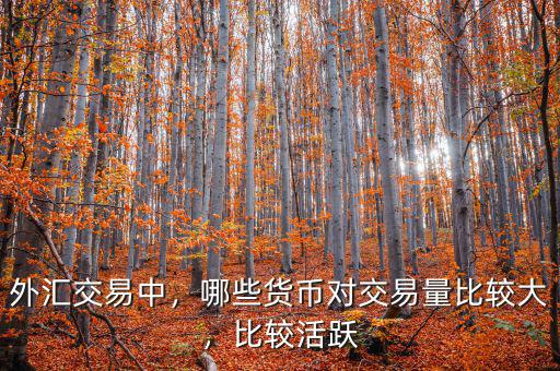 外匯交易中，哪些貨幣對交易量比較大，比較活躍