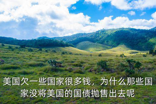 美國欠一些國家很多錢，為什么那些國家沒將美國的國債拋售出去呢