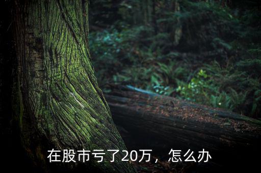 在股市虧了20萬，怎么辦