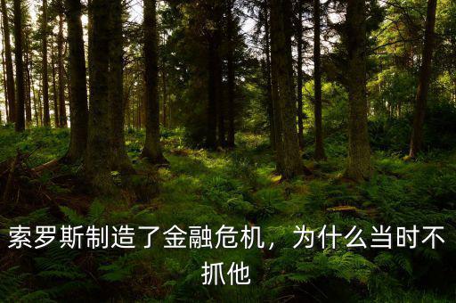 索羅斯制造了金融危機(jī)，為什么當(dāng)時不抓他