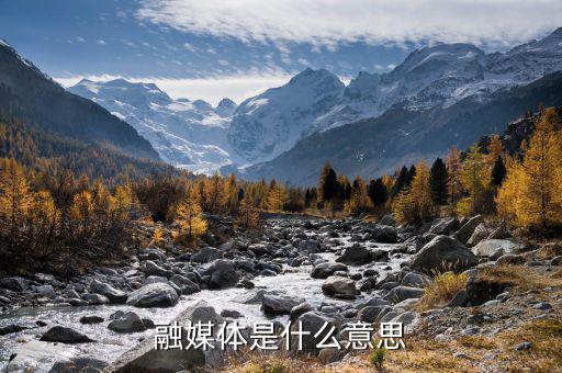 隨時融是什么,什么是日內融