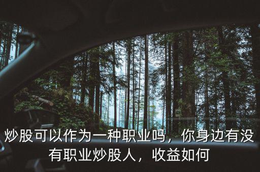 炒股可以作為一種職業(yè)嗎，你身邊有沒(méi)有職業(yè)炒股人，收益如何