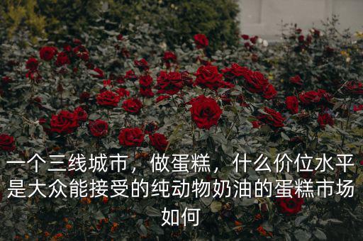 一個三線城市，做蛋糕，什么價位水平是大眾能接受的純動物奶油的蛋糕市場如何