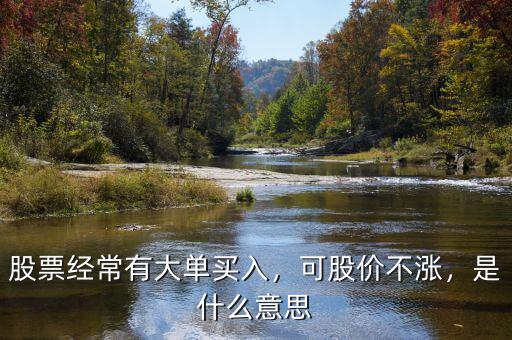 股票經(jīng)常有大單買入，可股價不漲，是什么意思