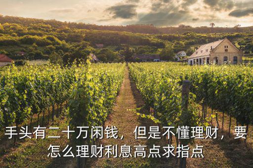 手頭有二十萬閑錢，但是不懂理財(cái)，要怎么理財(cái)利息高點(diǎn)求指點(diǎn)