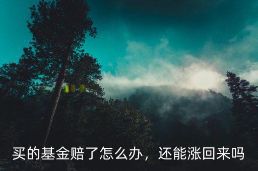 買的基金賠了怎么辦，還能漲回來(lái)嗎