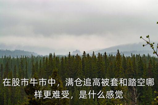 在股市牛市中，滿倉(cāng)追高被套和踏空哪樣更難受，是什么感覺(jué)