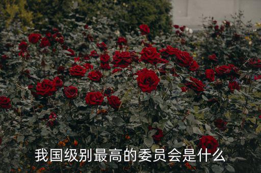 我國(guó)級(jí)別最高的委員會(huì)是什么