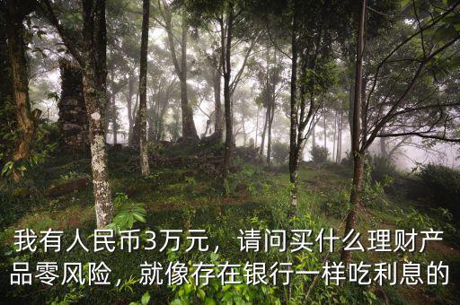 我有人民幣3萬元，請(qǐng)問買什么理財(cái)產(chǎn)品零風(fēng)險(xiǎn)，就像存在銀行一樣吃利息的