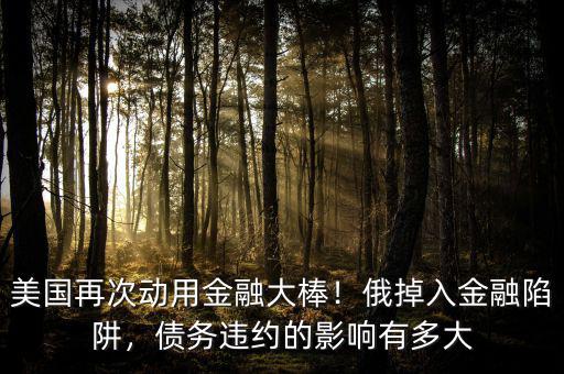 美國再次動用金融大棒！俄掉入金融陷阱，債務(wù)違約的影響有多大