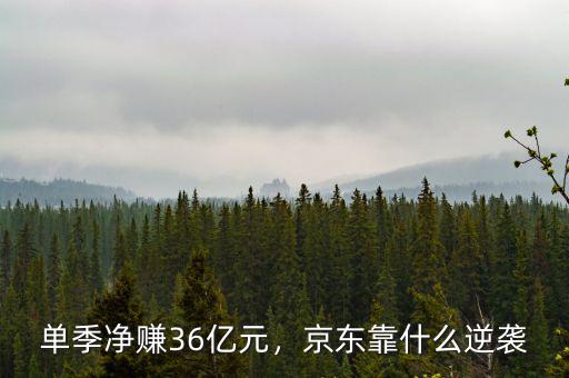 單季凈賺36億元，京東靠什么逆襲