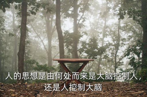 人的思想是由何處而來是大腦控制人，還是人控制大腦