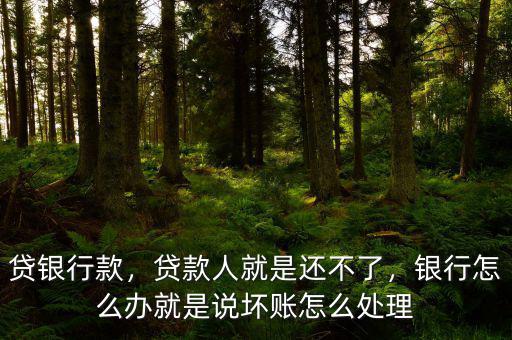 貸銀行款，貸款人就是還不了，銀行怎么辦就是說壞賬怎么處理
