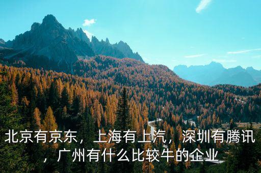北京有京東，上海有上汽，深圳有騰訊，廣州有什么比較牛的企業(yè)