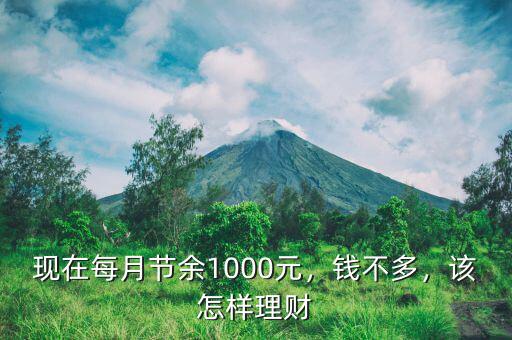 現(xiàn)在每月節(jié)余1000元，錢不多，該怎樣理財(cái)