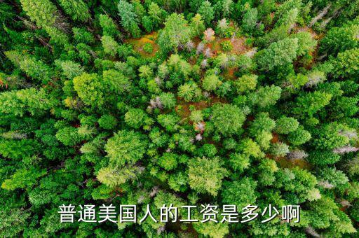 華人占有美國多少財(cái)富,普通美國人的工資是多少啊