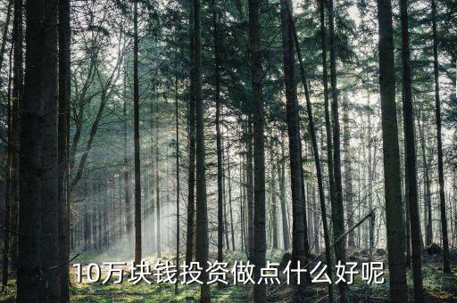 10萬(wàn)投資什么好,做點(diǎn)什么投資好