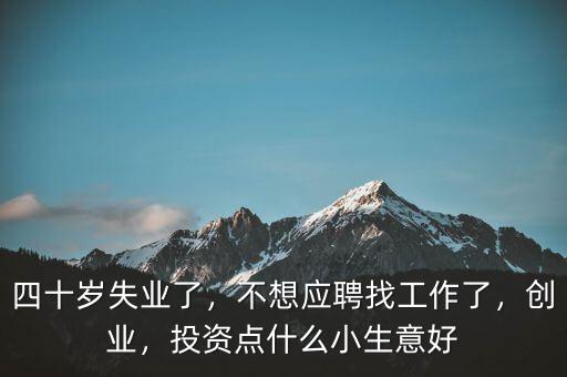 四十歲失業(yè)了，不想應(yīng)聘找工作了，創(chuàng)業(yè)，投資點(diǎn)什么小生意好