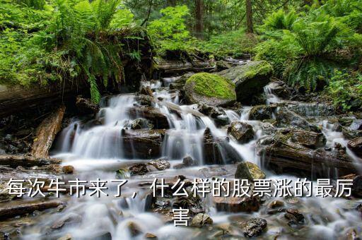 每次牛市來了，什么樣的股票漲的最厲害