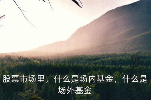 股票市場里，什么是場內基金，什么是場外基金
