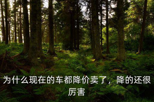 為什么現(xiàn)在的車都降價賣了，降的還很厲害