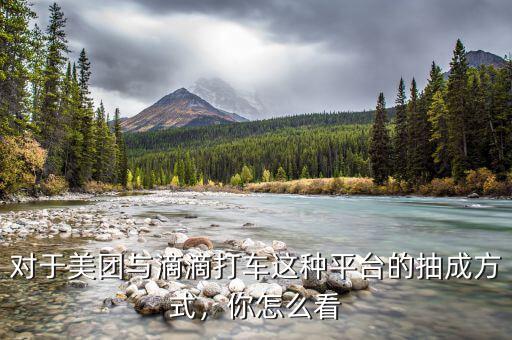 對(duì)于美團(tuán)與滴滴打車這種平臺(tái)的抽成方式，你怎么看