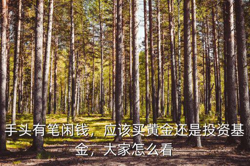 手頭有筆閑錢，應該買黃金還是投資基金，大家怎么看