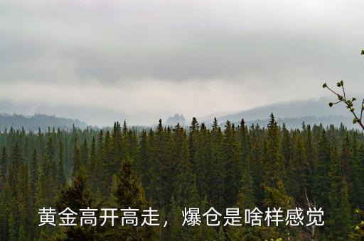 黃金高開高走，爆倉是啥樣感覺
