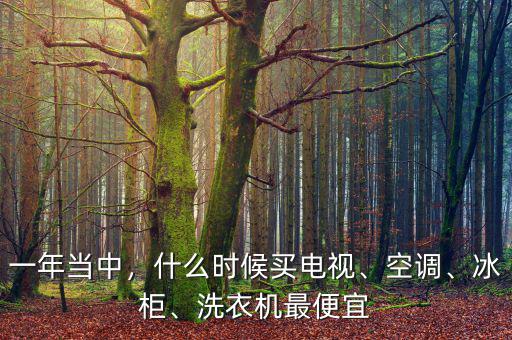 一年當(dāng)中，什么時(shí)候買(mǎi)電視、空調(diào)、冰柜、洗衣機(jī)最便宜