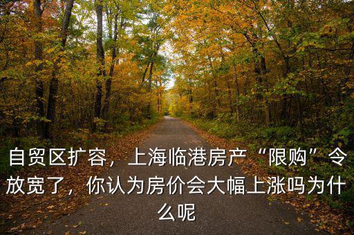 自貿(mào)區(qū)擴(kuò)容，上海臨港房產(chǎn)“限購”令放寬了，你認(rèn)為房價(jià)會(huì)大幅上漲嗎為什么呢