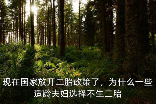 現(xiàn)在國家放開二胎政策了，為什么一些適齡夫婦選擇不生二胎